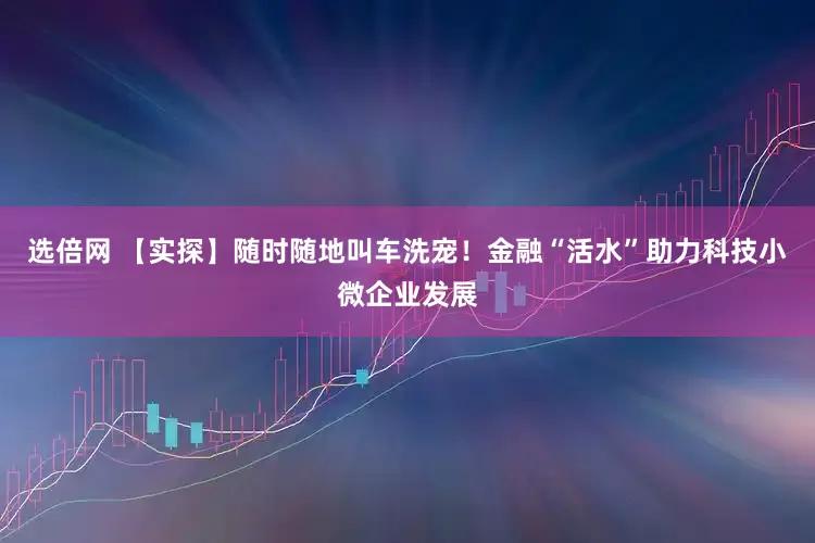 选倍网 【实探】随时随地叫车洗宠！金融“活水”助力科技小微企业发展