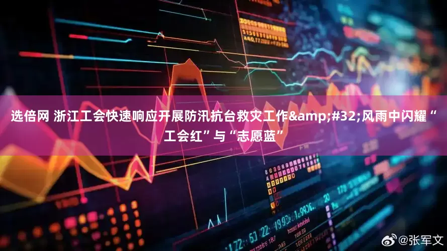 选倍网 浙江工会快速响应开展防汛抗台救灾工作&#32;风雨中闪耀“工会红”与“志愿蓝”