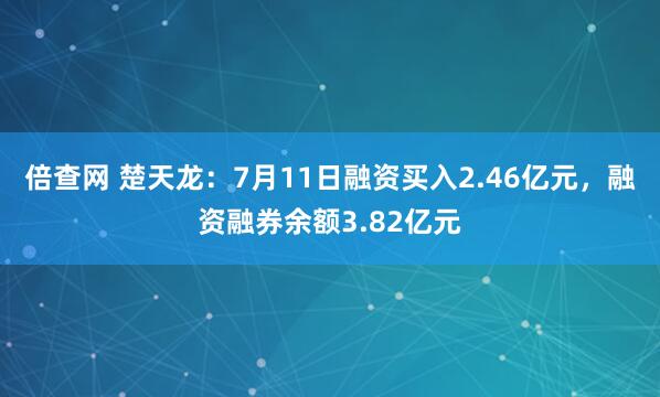 倍查网 楚天龙：7月11日融资买入2.46亿元，融资融券余额3.82亿元