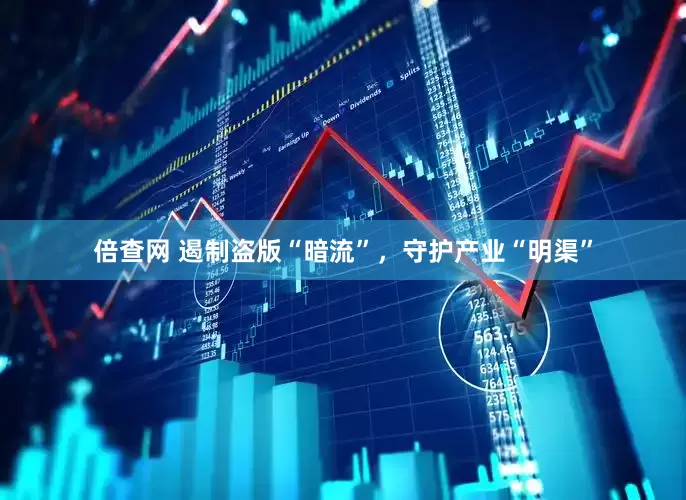 倍查网 遏制盗版“暗流”，守护产业“明渠”