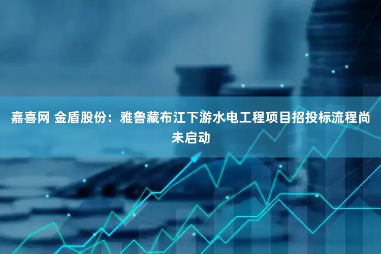 嘉喜网 金盾股份：雅鲁藏布江下游水电工程项目招投标流程尚未启动