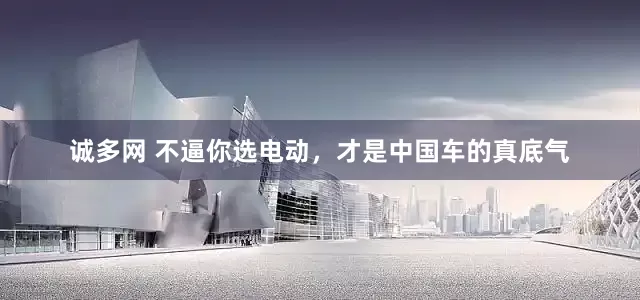 诚多网 不逼你选电动，才是中国车的真底气