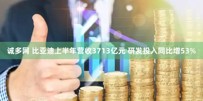 诚多网 比亚迪上半年营收3713亿元 研发投入同比增53%
