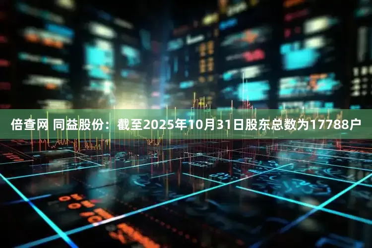 倍查网 同益股份：截至2025年10月31日股东总数为17788户